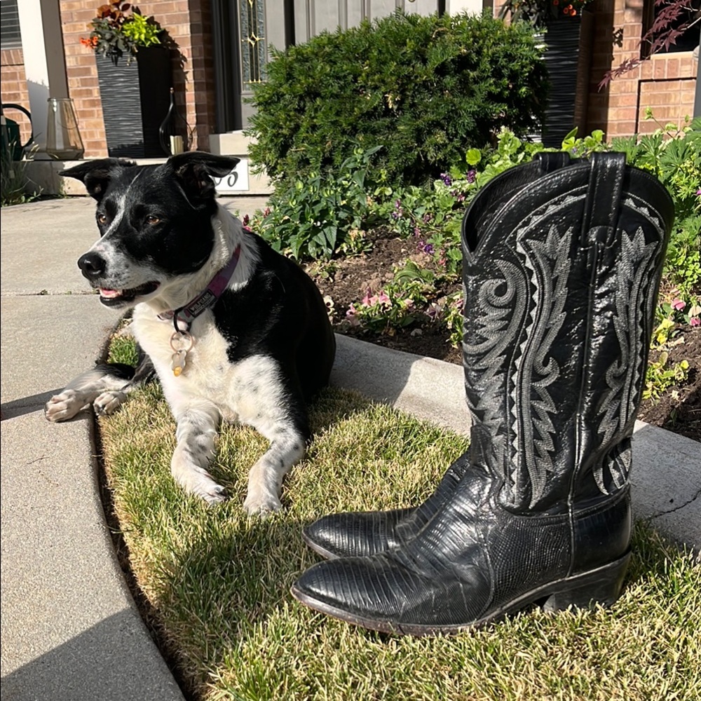 Dan Post Black Leather Cowboy Boots